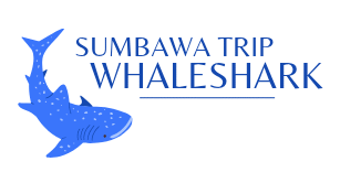 visitwhalesharksumbawatrip.com